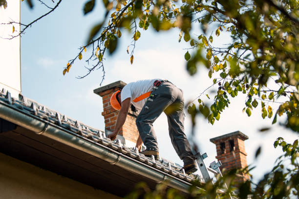 Best Roof Maintenance Services  in Wallburg, NC