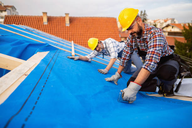 Best Metal Roofing Contractor  in Wallburg, NC