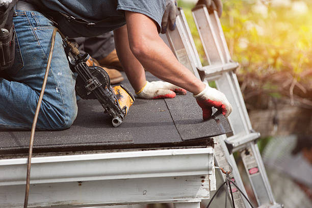 Roof Gutter Cleaning in Wallburg, NC